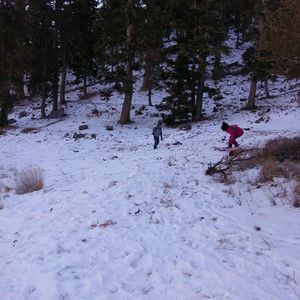 Meet your Posher, Beatriz